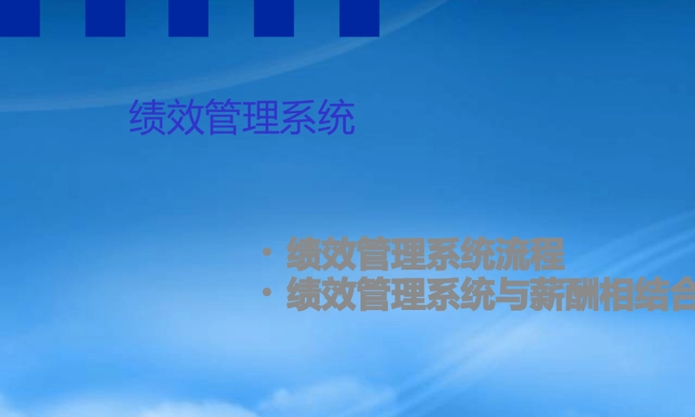 某公司绩效管理系统综述