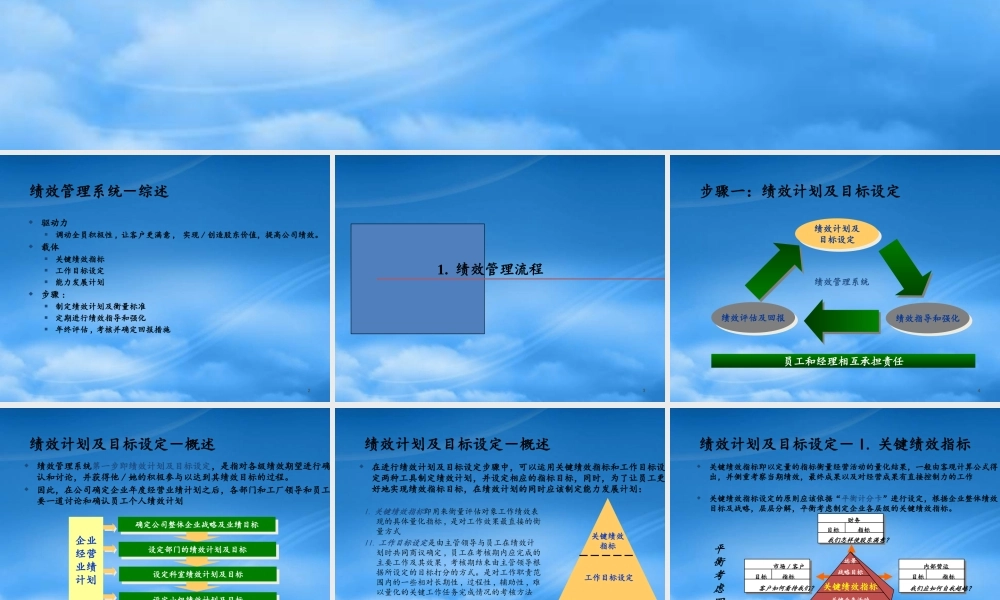 某公司绩效管理系统综述
