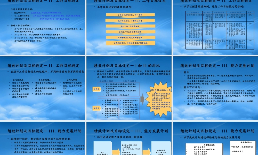 某公司绩效管理系统综述
