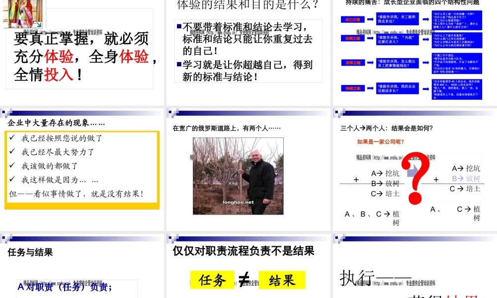 如何打造超级执行力团队