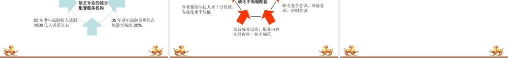 天颐国际养生房产项目定位策划方案