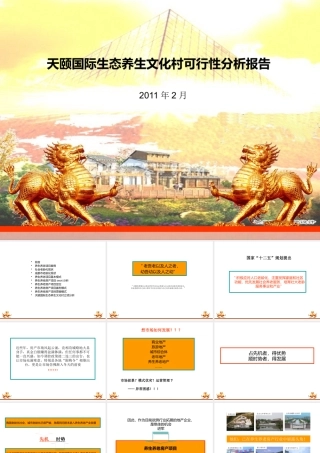 天颐国际养生房产项目定位策划方案