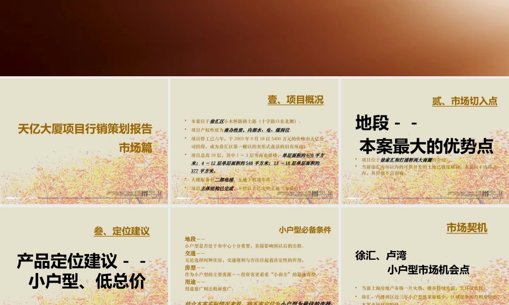 天亿大厦项目行销策划报告(市场篇)