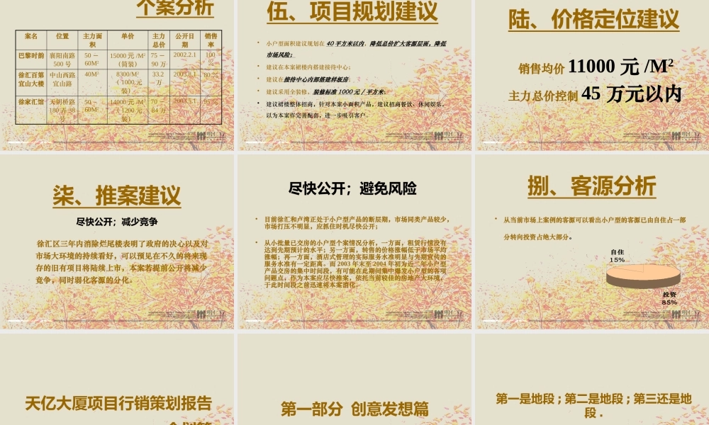 天亿大厦项目行销策划报告(市场篇)