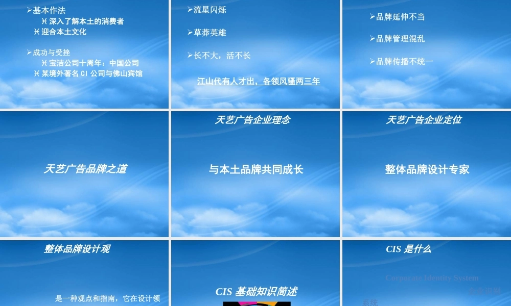 天艺-绿茵阁整体品牌管理导入动员培训