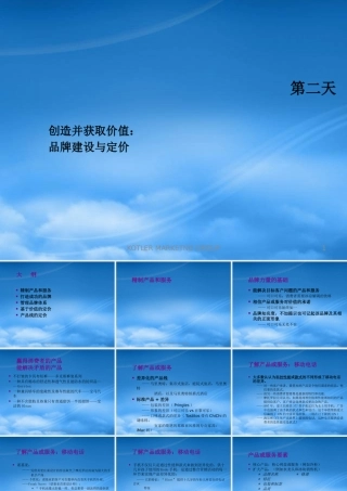 如何打造成功的品牌(ppt 126页)2