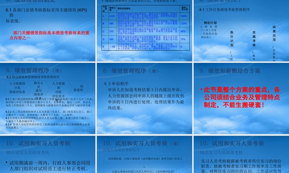某公司绩效管理与考核实施细则)