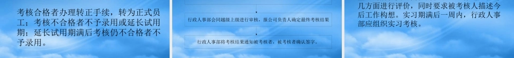 某公司绩效管理与考核实施细则)