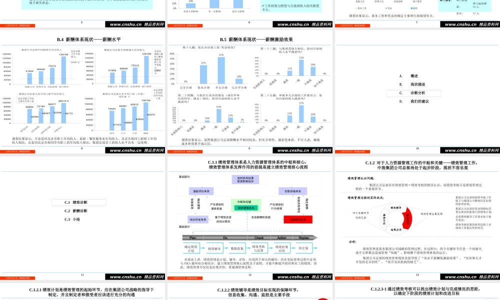 某公司绩效管理诊断报告