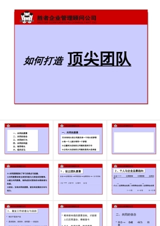 如何打造顶尖团队(PPT 页)