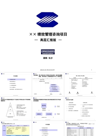 某公司绩效管理咨询报告