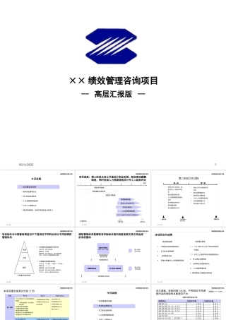 某公司绩效管理咨询项目--susan008