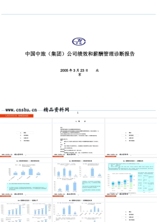 某公司绩效和薪酬管理的诊断报告分析