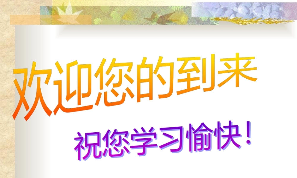 如何打造高绩效的团队(ppt 67页)