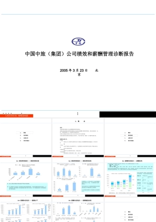 某公司绩效和薪酬管理诊断报告