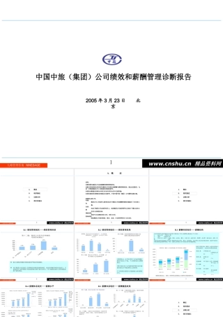 某公司绩效和薪酬管理诊断分析报告