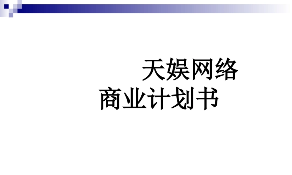 天娱网络商业计划书范本
