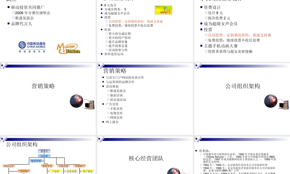 天娱网络商业计划书范本