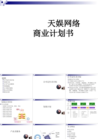 天娱网络商业计划书范本