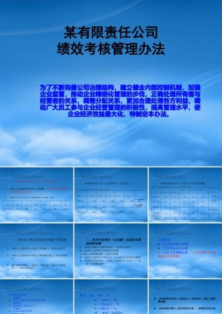 某公司绩效考核管理办法