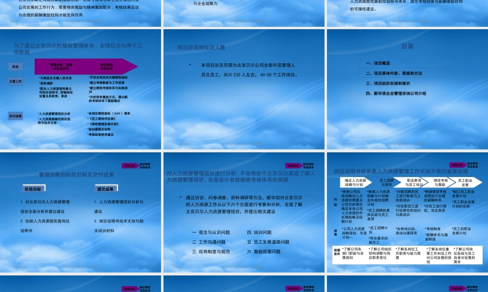 某公司绩效考核管理项目建议书
