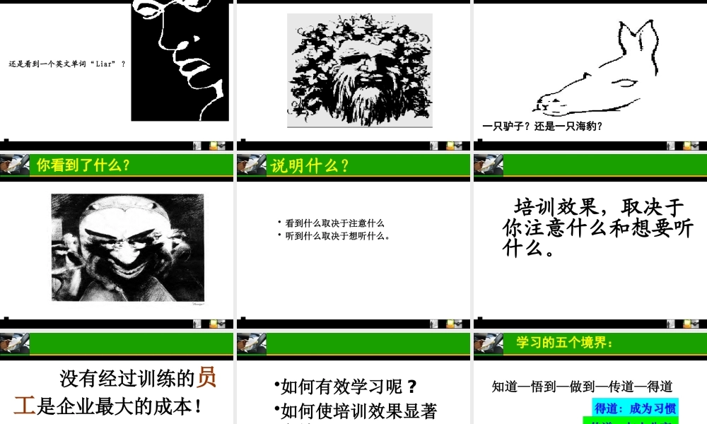 如何打造高绩效的执行团队(ppt 380页)