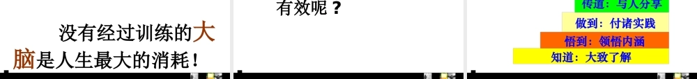 如何打造高绩效的执行团队(ppt 380页)