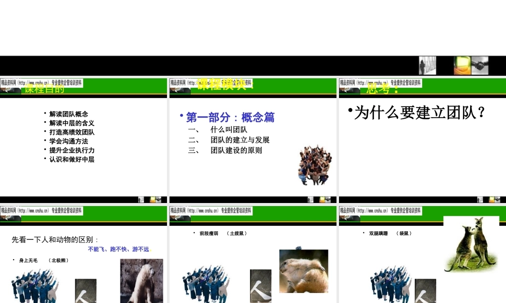 如何打造高绩效的执行团队