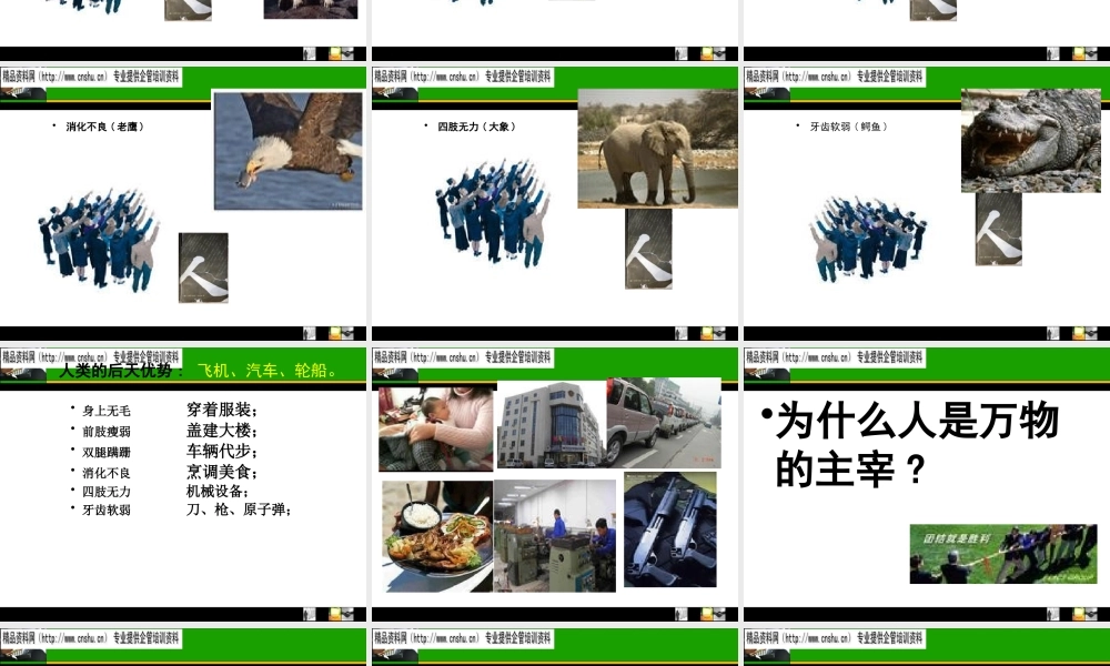 如何打造高绩效的执行团队