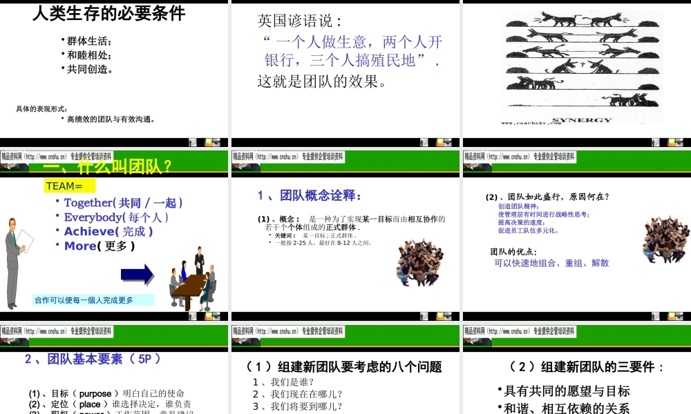 如何打造高绩效的执行团队