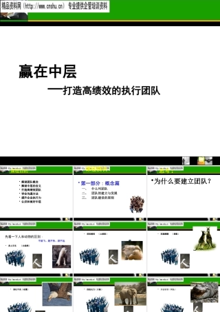 如何打造高绩效的执行团队