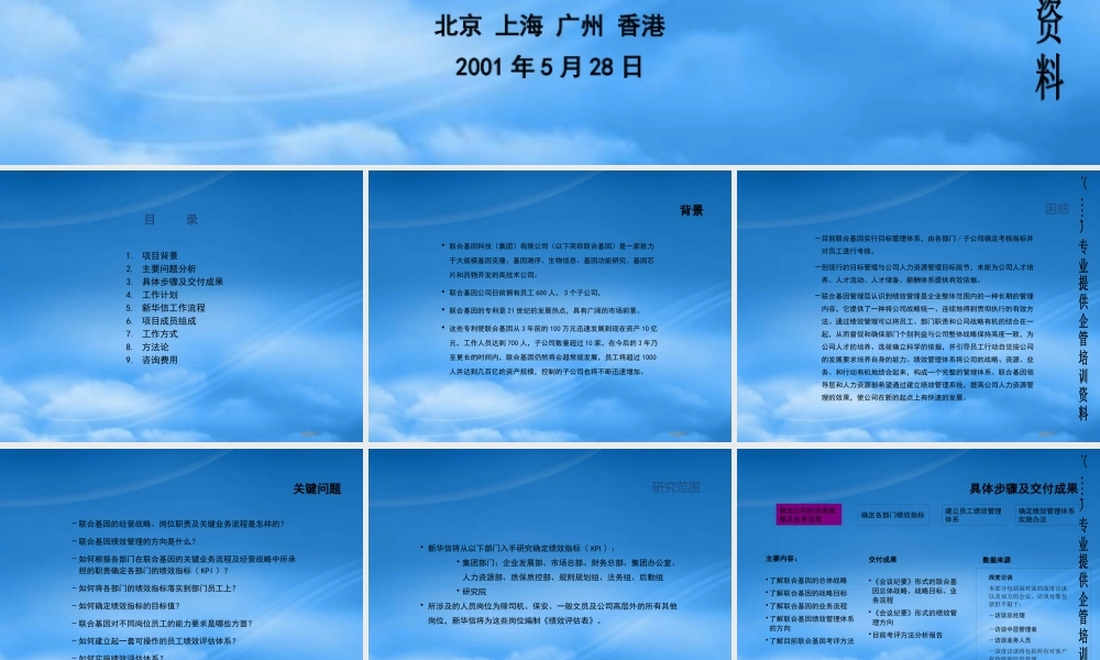 某公司绩效考核评估项目管理建议书
