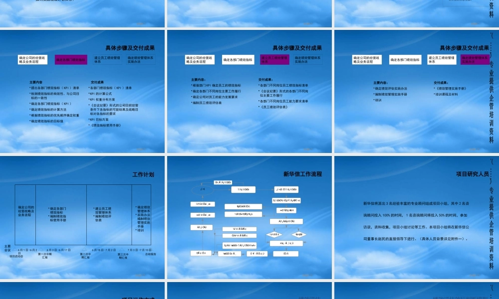 某公司绩效考核评估项目管理建议书