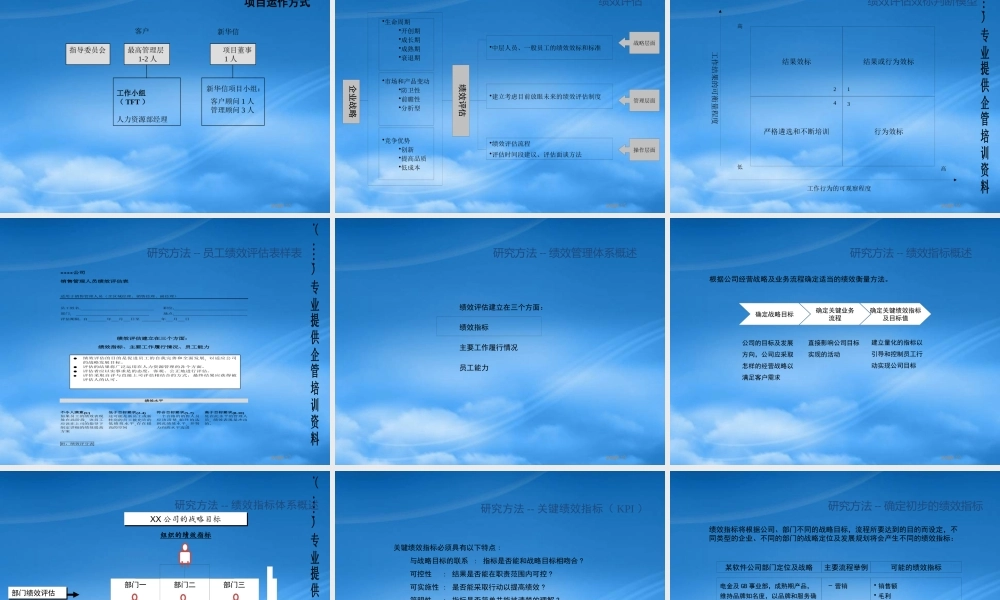 某公司绩效考核评估项目管理建议书