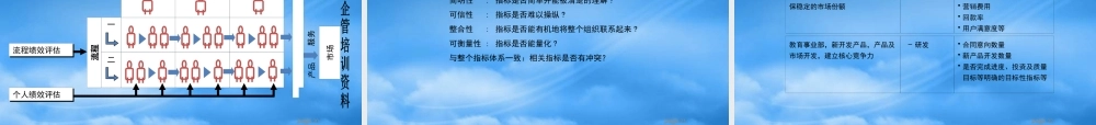 某公司绩效考核评估项目管理建议书