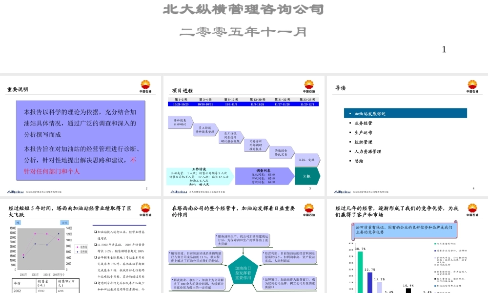 某公司加油站管理诊断及建议报告
