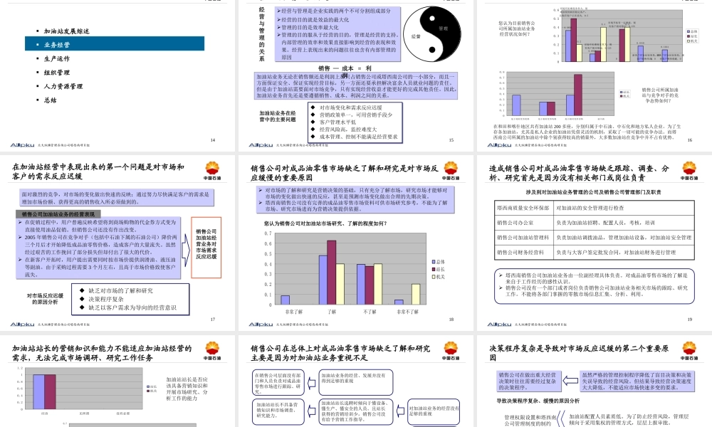 某公司加油站管理诊断及建议报告