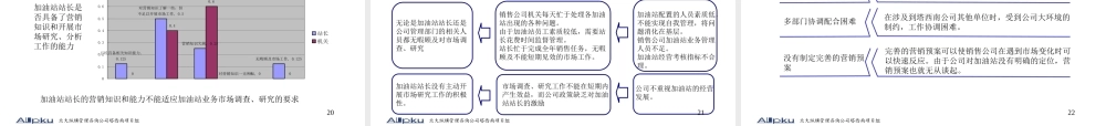 某公司加油站管理诊断及建议报告