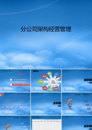 某公司架构经营管理教材