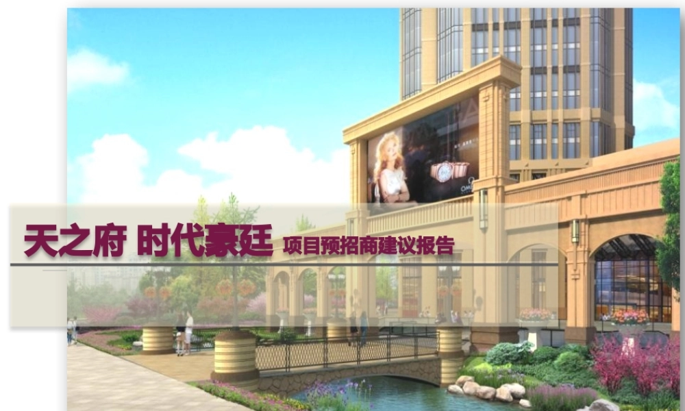 天之府时代豪廷项目-预招商方案