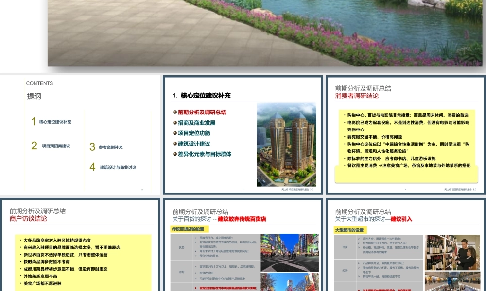 天之府时代豪廷项目-预招商方案