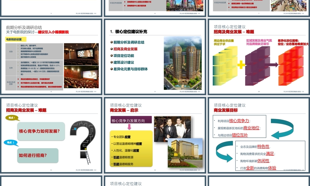 天之府时代豪廷项目-预招商方案