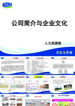 某公司简介与企业文化课程
