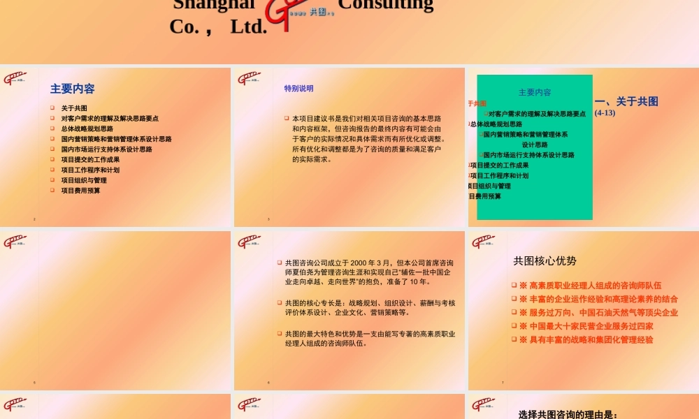 某公司建立长盛不衰运行机制和管理体系咨询项目建议书