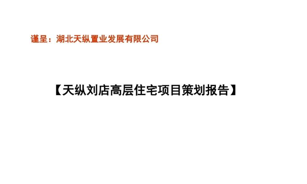 天纵项目策划报告定稿