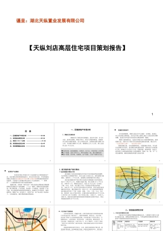 天纵项目策划报告定稿