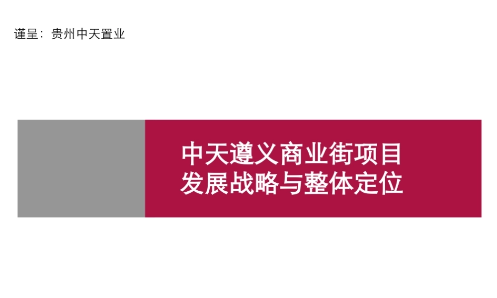 天遵义商业街项目发展战略与整体定位报告