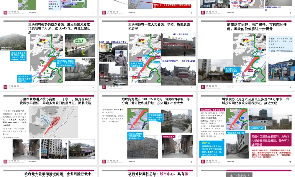 天遵义商业街项目发展战略与整体定位报告
