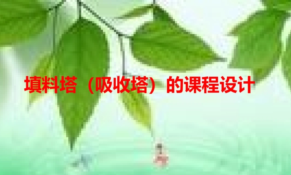 填料塔设计流程（PPT31页)