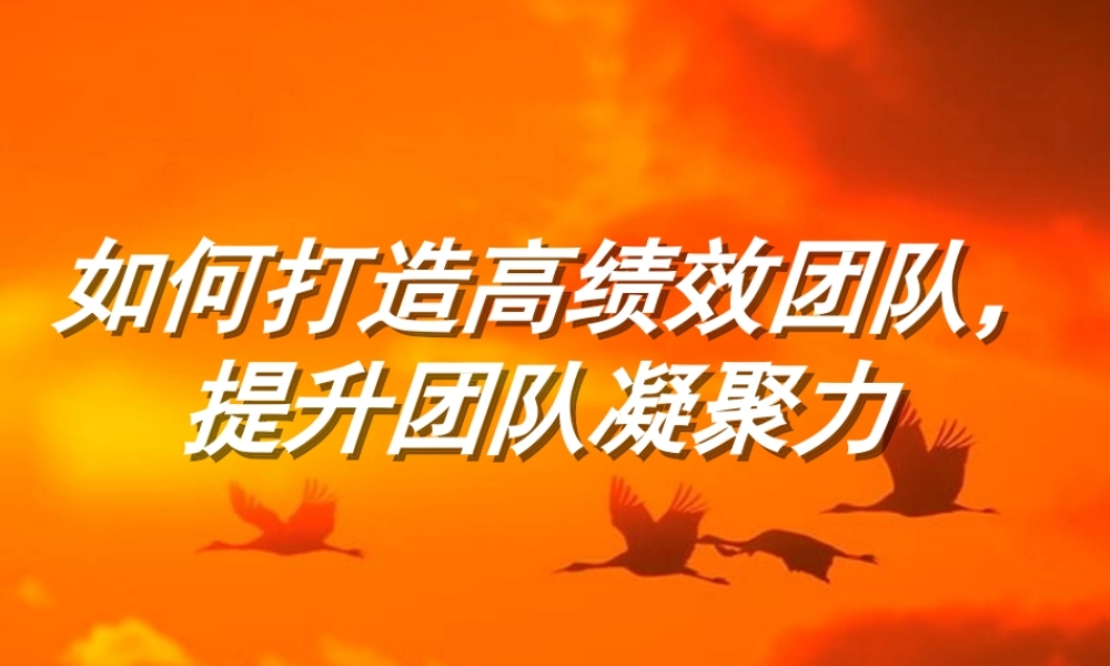 如何打造高绩效团队提升团队凝聚力